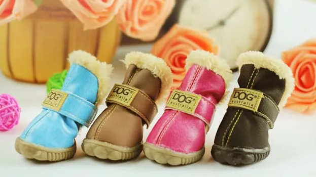 Dog Australia Boots
