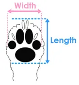 Dog Australia Boots