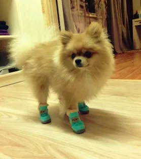 Dog Australia Boots