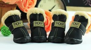 Dog Australia Boots