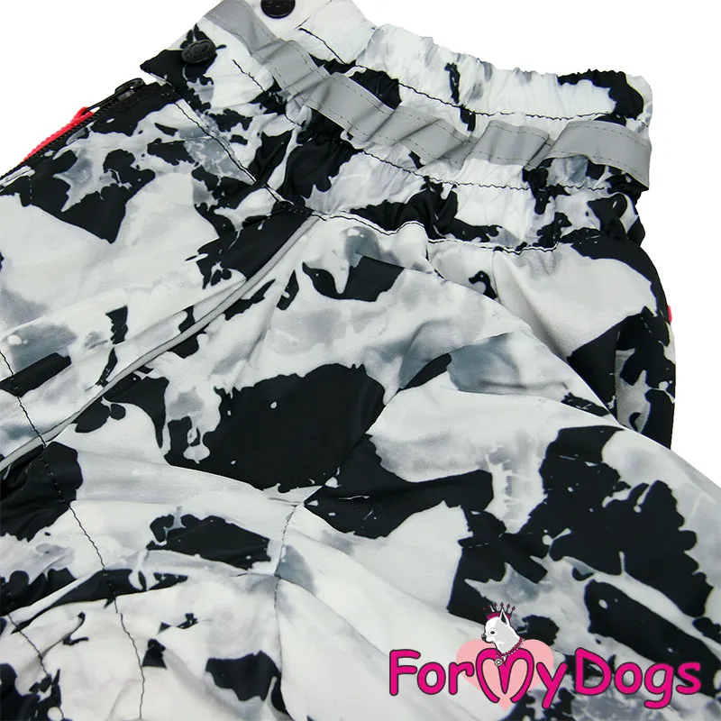 Holy Cow! Winter Suit For Boys For Medium, Large Breeds & Pugs SPECIAL ORDER
