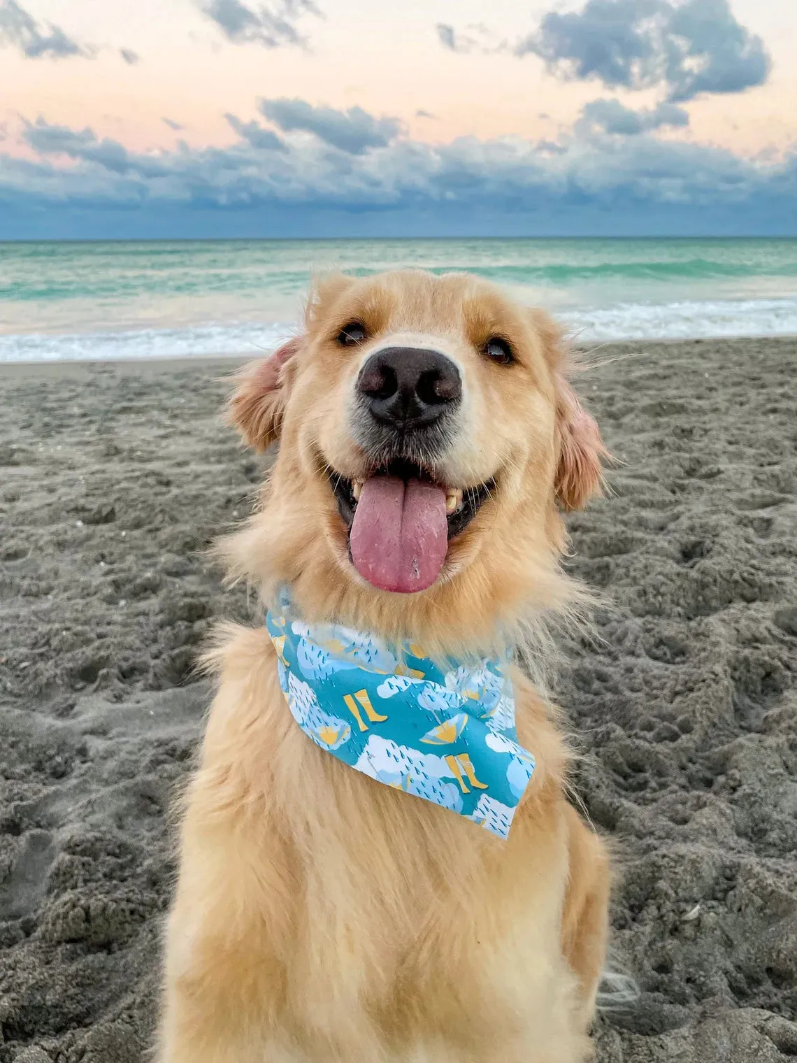 Rain or Shine Bandana