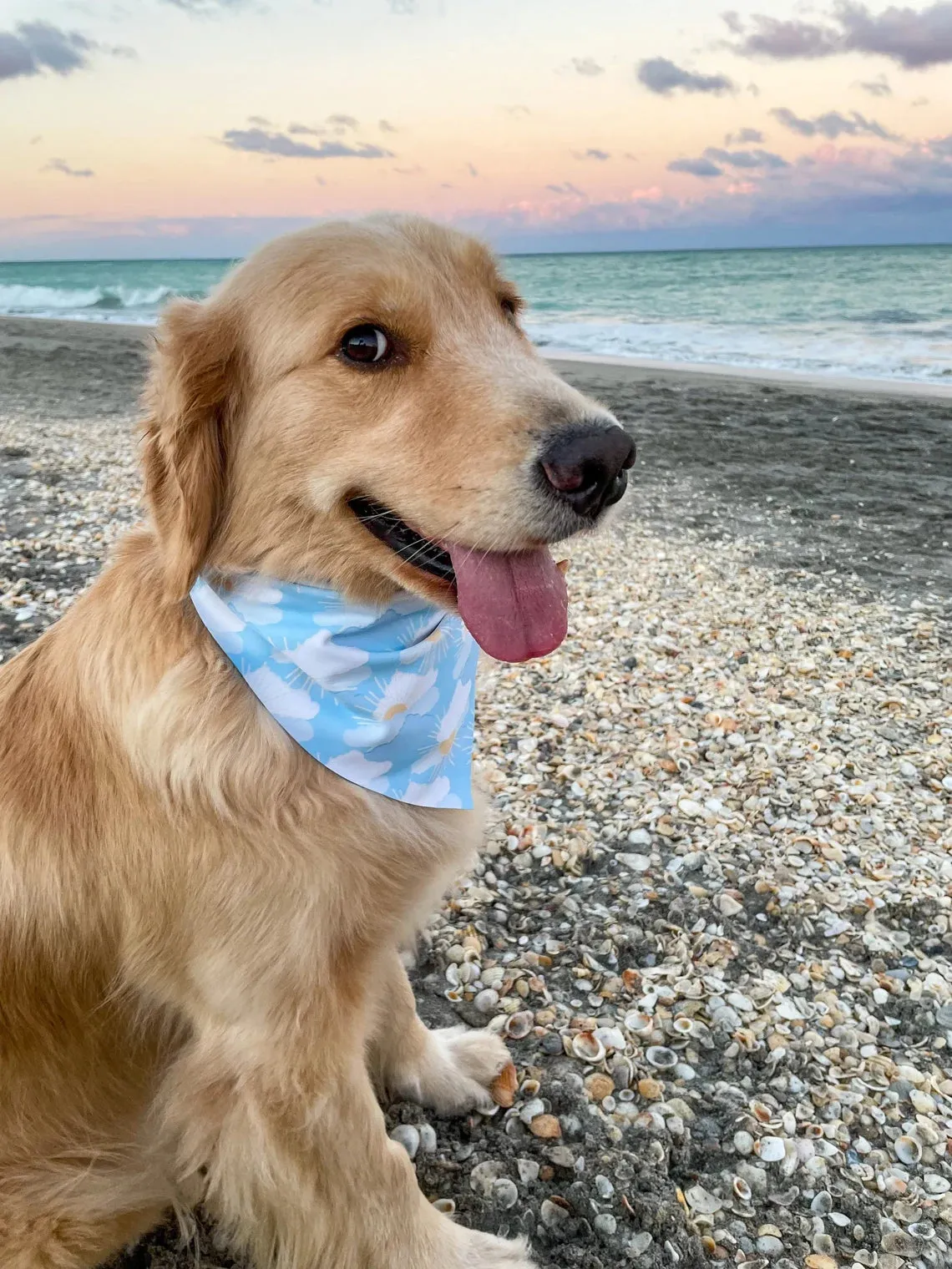 Rain or Shine Bandana