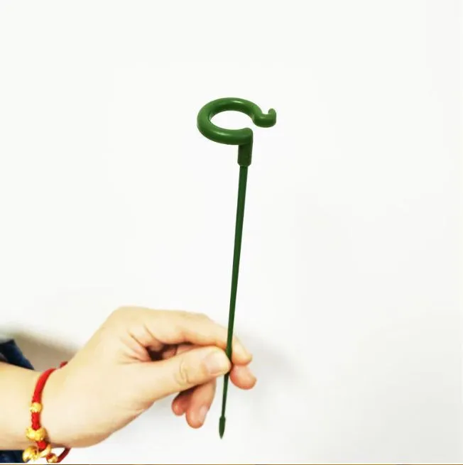 Single Plant Stem(10PCS)