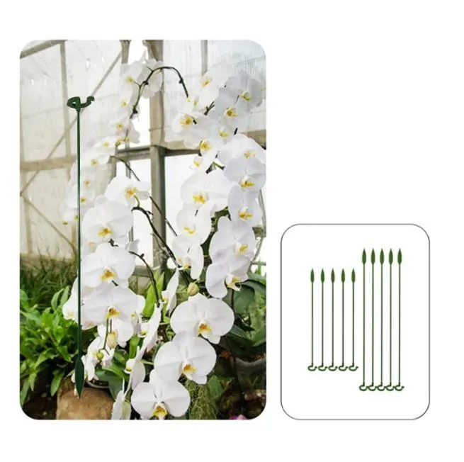 Single Plant Stem(10PCS)