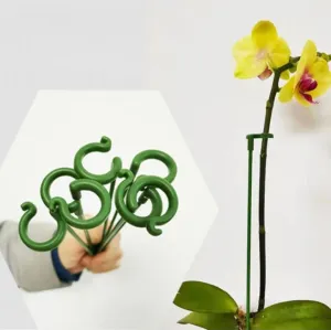 Single Plant Stem(10PCS)