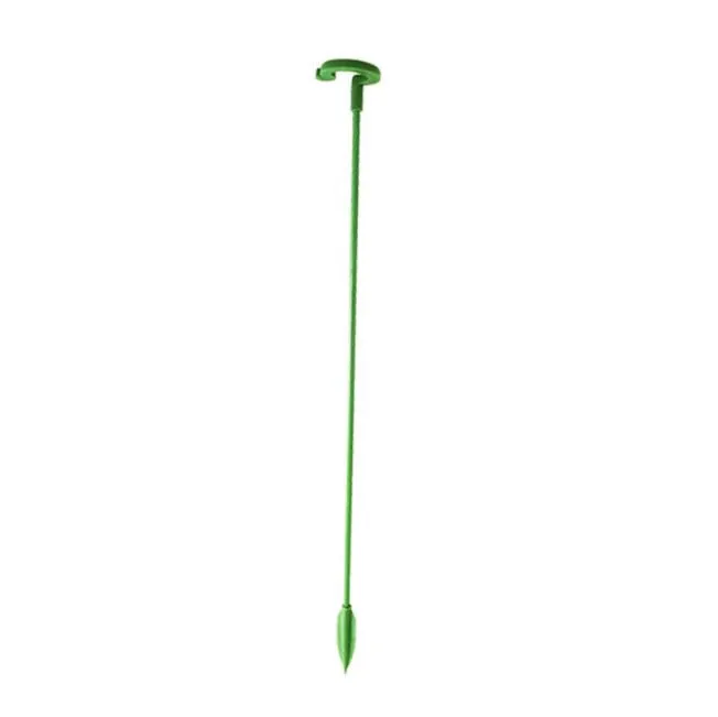 Single Plant Stem(10PCS)