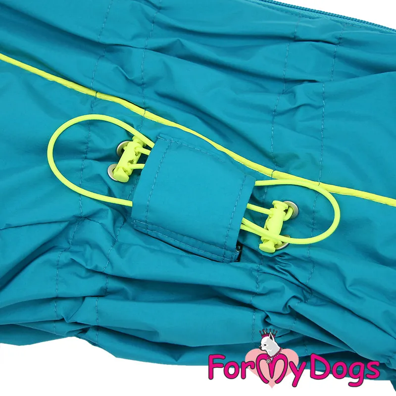 Terrific Turquoise Winter Suit For Girls For Medium, Large Breeds & Pugs SPECIAL ORDER (Copy)