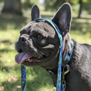 Woof & Stuff West Coast Waterproof Collar